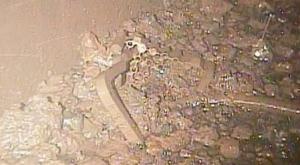 福島核反應堆內發現熔化的核燃料 核污染處理有望