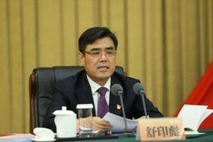 舒印彪：國(guó)網(wǎng)愿共促電動(dòng)汽車健康發(fā)展