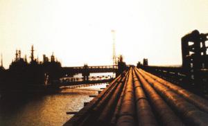 浙江省內最長的成品油管道和配套油庫投油成功