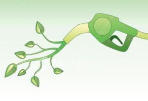 包頭市與北大荒合作開展生物燃料乙醇多聯(lián)產(chǎn)項目