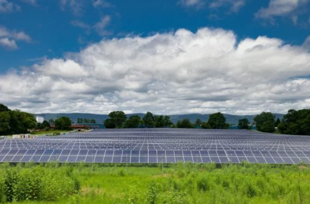 狄金森學院農場陽光與新的12英畝特斯拉太陽能農場