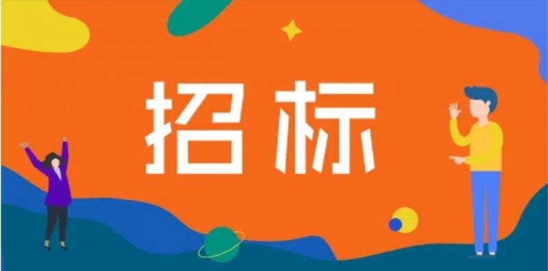 西班牙比斯開省巴爾馬塞達(dá)市門迪亞學(xué)校屋頂太陽能光伏發(fā)電系統(tǒng)并網(wǎng)發(fā)電項(xiàng)目招標(biāo)